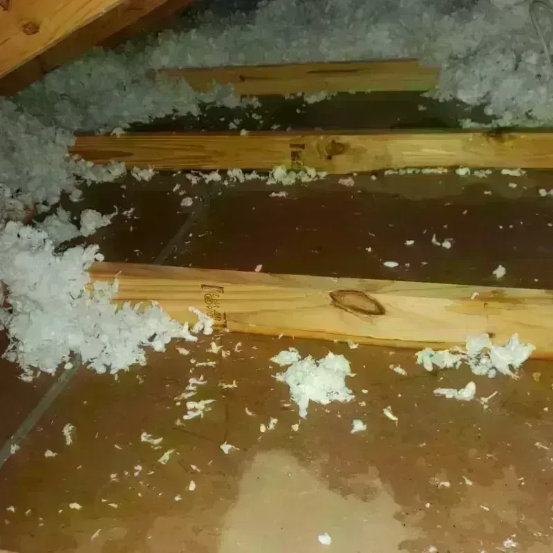 Attic Water Damage in Creswell, OR